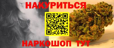 СК Дубна
