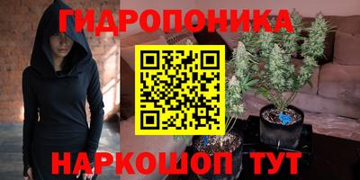 PSILOCYBIN Донской